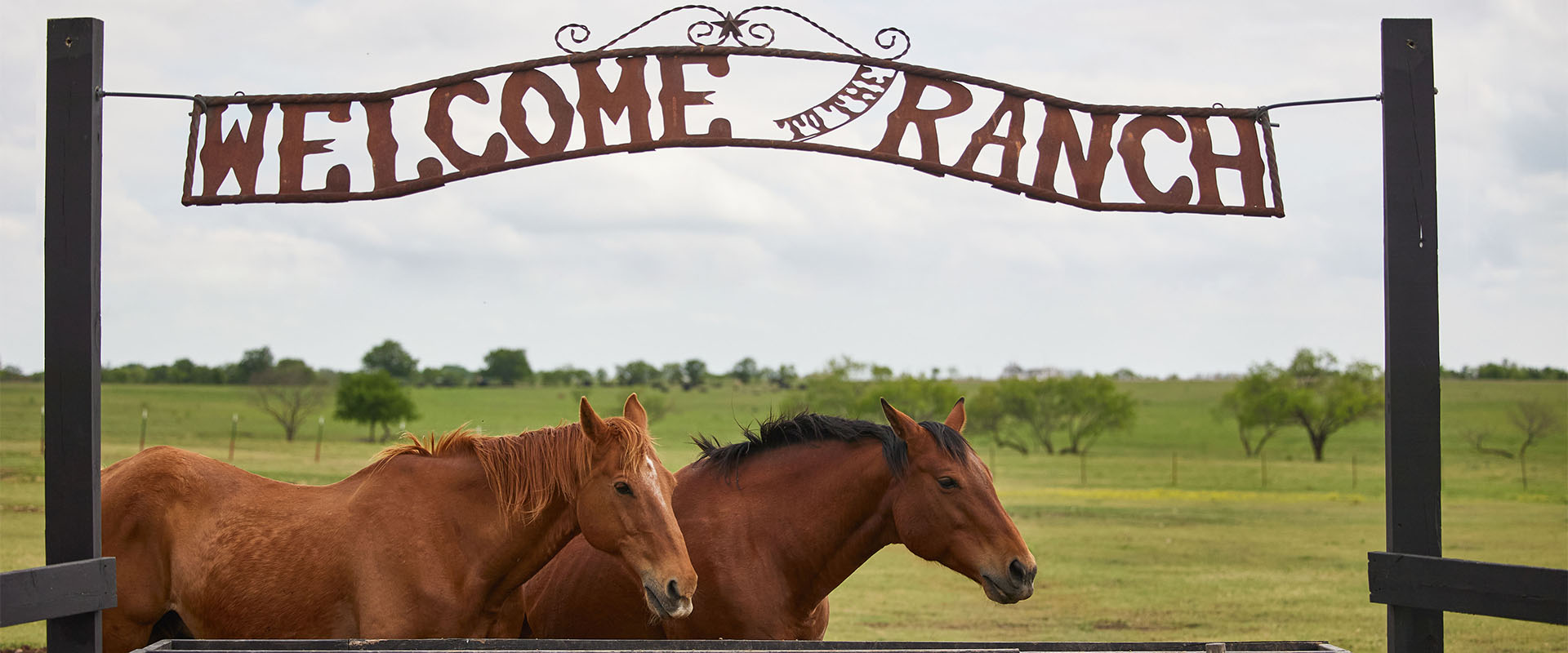 Welcome to the ranch sign with two horse standing beneath 